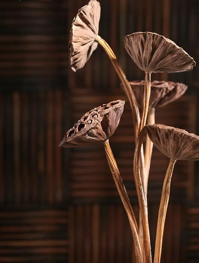 10 Stems Lotus Pods, Dried Lotus Pods, Natural Decor, Rustic Decor, Lotus Flower Arrangement
