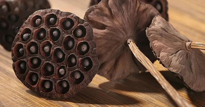 10 Stems Lotus Pods, Dried Lotus Pods, Natural Decor, Rustic Decor, Lotus Flower Arrangement