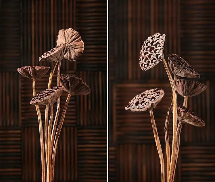 10 Stems Lotus Pods, Dried Lotus Pods, Natural Decor, Rustic Decor, Lotus Flower Arrangement