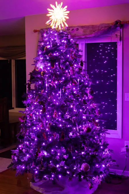 5mm LED Christmas Lights 35L Purple