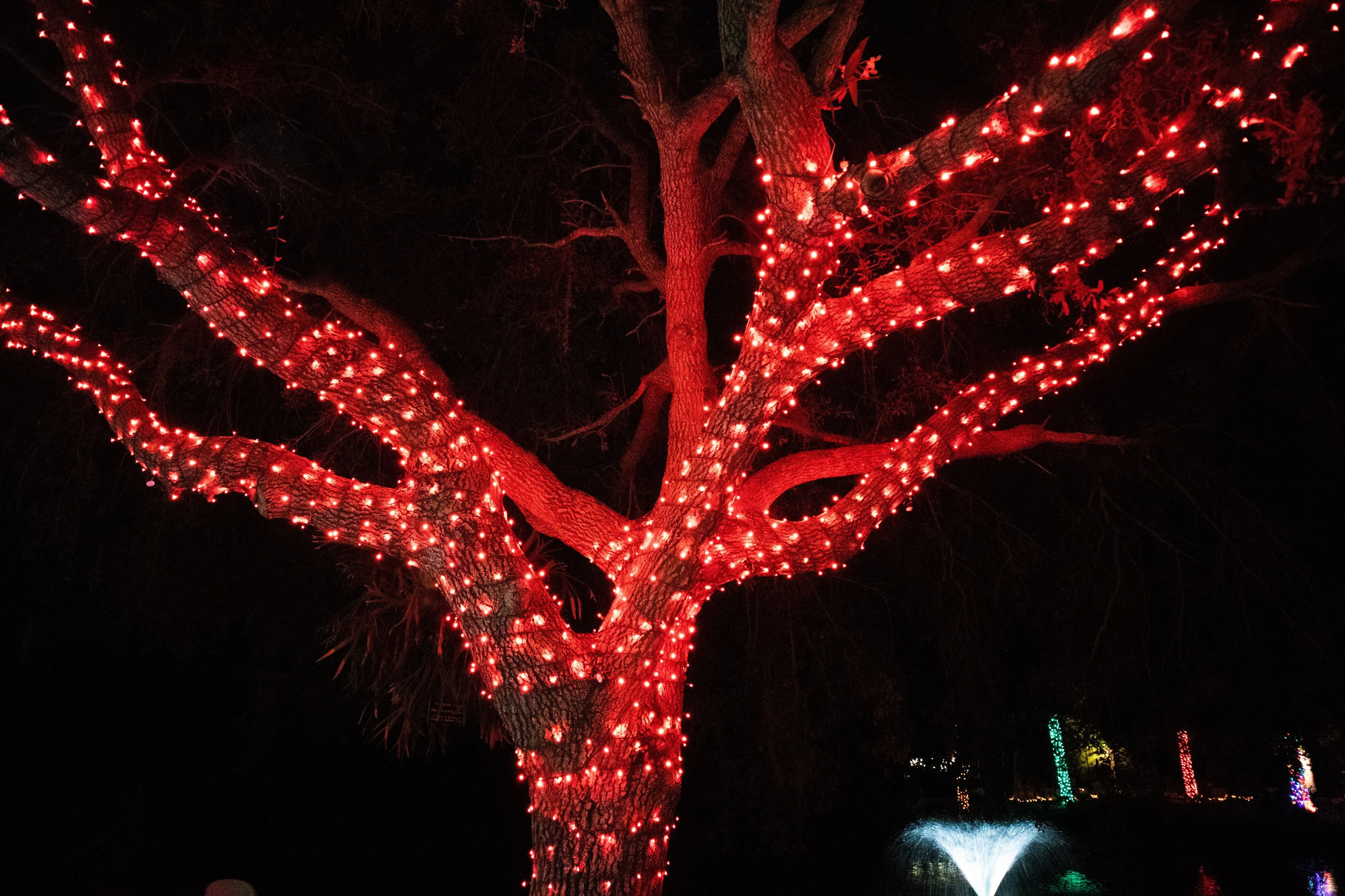 5mm LED Christmas Lights 35L Red