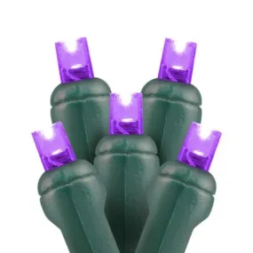 5mm LED Christmas Lights 50L Purple