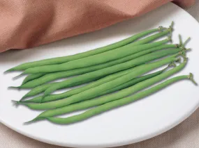 Bean - French Filet Serengeti (Green Bush Bean) (Seeds)