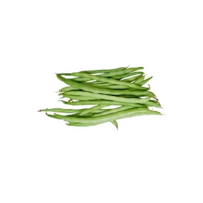 Bean Kentucky Blue Seeds | West Coast Seeds