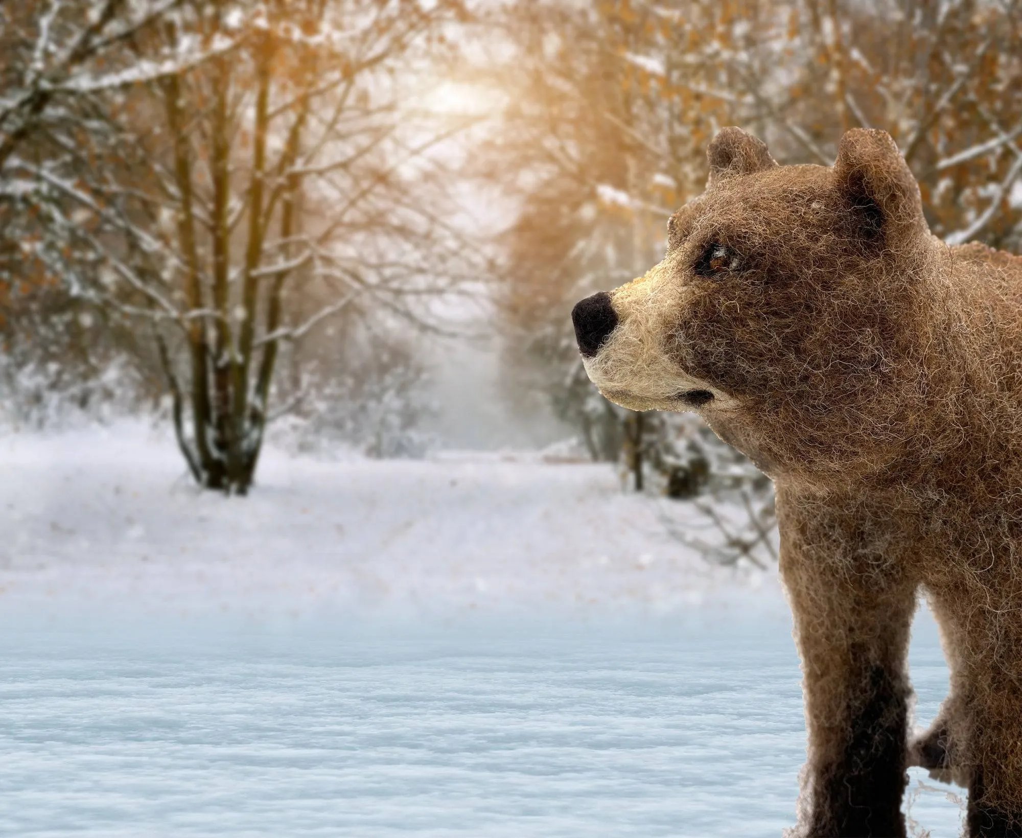 Bruno The Bear | Needle Felting Kit