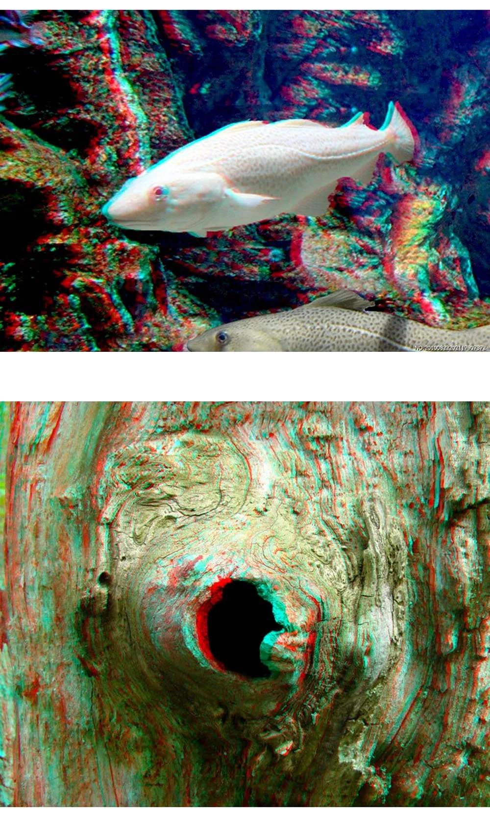 CRONY Red and blue master image lovely animal virtual reality 3d movies vr glasses 3D glasses For the projector