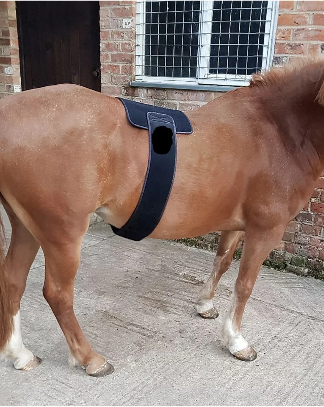 Equine Therapy Systems Infrared belly / Back / Neck Wrap (large)