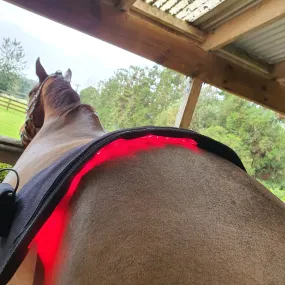 Equine Therapy Systems Infrared belly / Back / Neck Wrap (large)