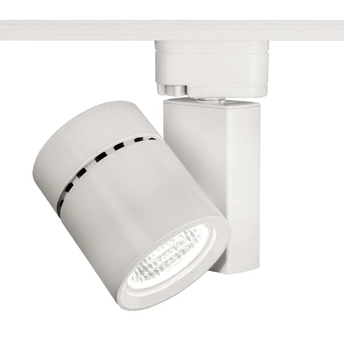 Exterminator II LED 52W Track Head