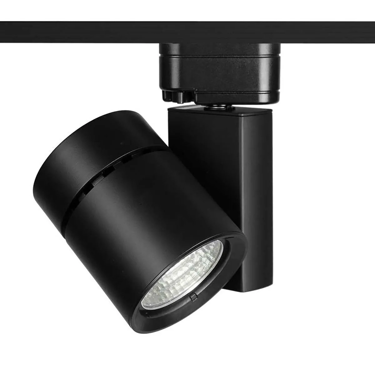 Exterminator II LED 52W Track Head