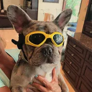 Pet Glasses Cat Ski Goggles Pet Adjustable Sunglasses
