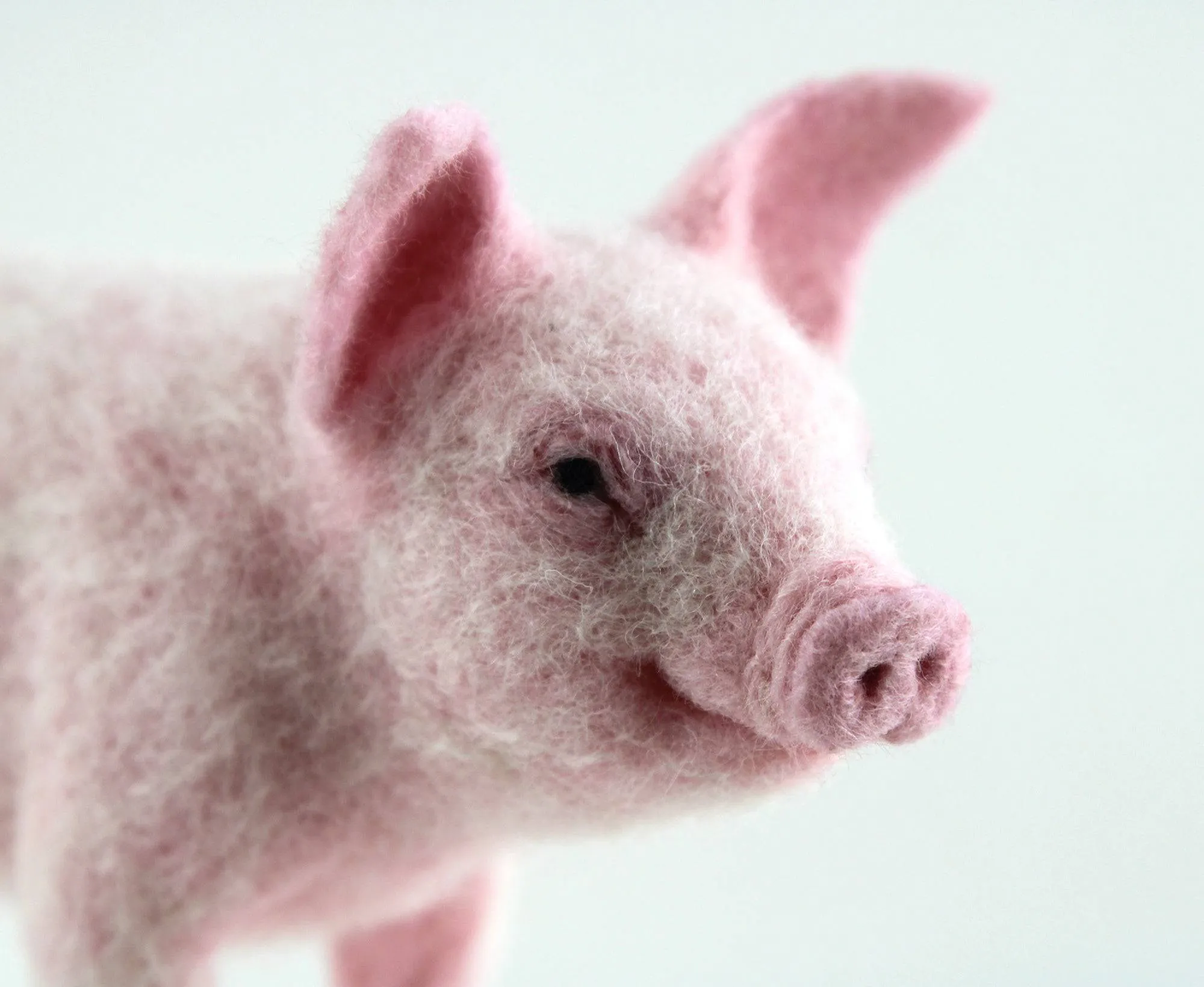 Pippin The Pig | Needle Felting Kit