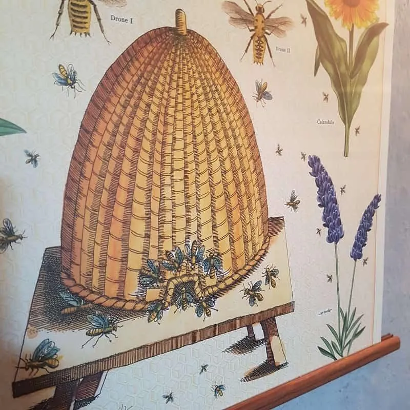 Playroom Poster – Bees & Honey