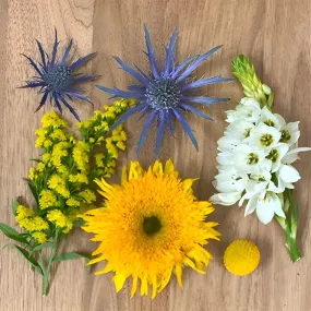 Save the Sunflower Growers DIY Flower Kit