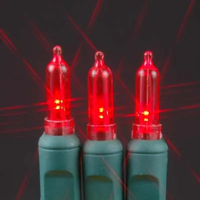 T5 50 count LED Christmas Lights RED