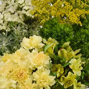 Yellow Meadows DIY Flower Kit